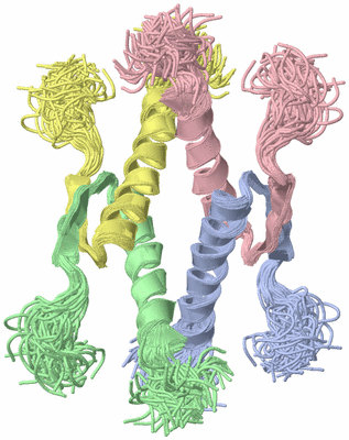 Image NMR Structure - all models