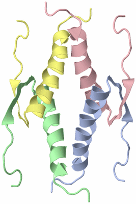 Image NMR Structure - model 1