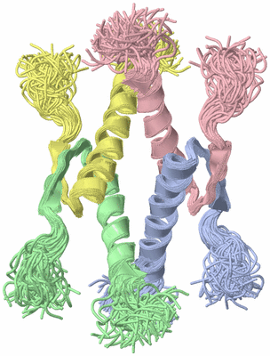 Image NMR Structure - all models