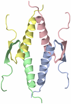 Image NMR Structure - model 1