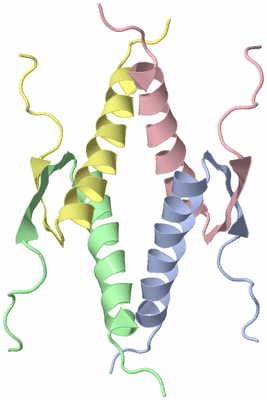 Image NMR Structure - all models