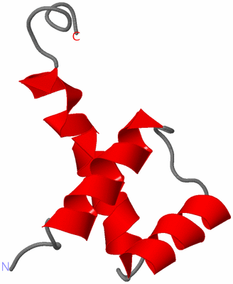 Image NMR Structure - model 1