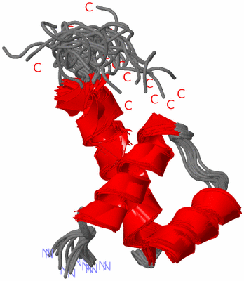 Image NMR Structure - all models