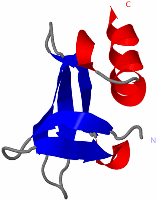 Image NMR Structure - all models