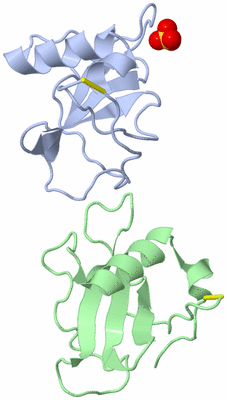 Image Asymmetric Unit
