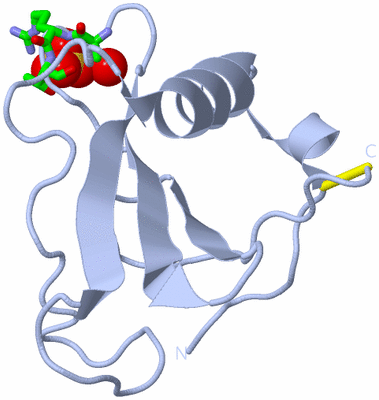 Image Biol. Unit 1 - sites