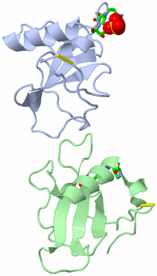 Image Asym. Unit - sites
