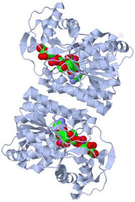 Image Biological Unit 1