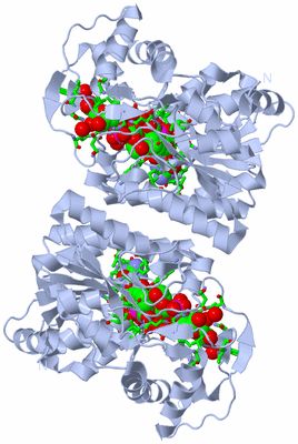 Image Biol. Unit 1 - sites