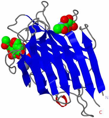 Image Asymmetric Unit