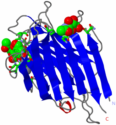 Image Asym. Unit - sites