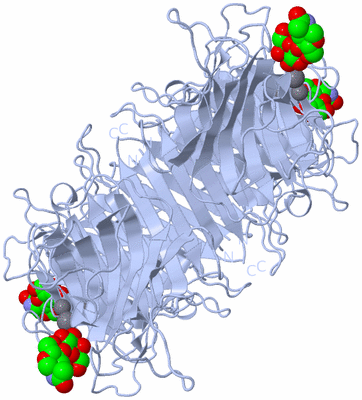 Image Biological Unit 1