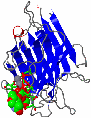 Image Asym. Unit - sites