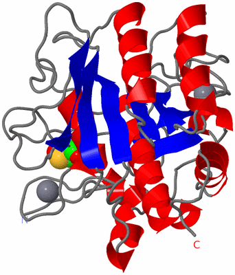 Image Asym./Biol. Unit