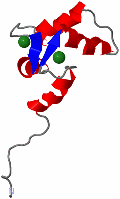 Image NMR Structure - model 1