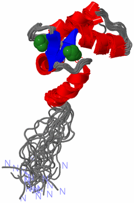 Image NMR Structure - all models