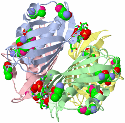 Image Asym./Biol. Unit - sites