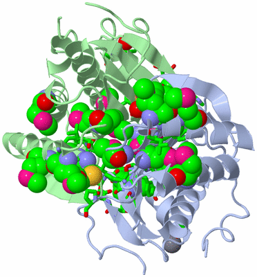 Image Asym./Biol. Unit - sites