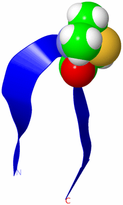 Image NMR Structure - model 1