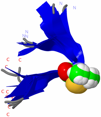 Image NMR Structure - all models