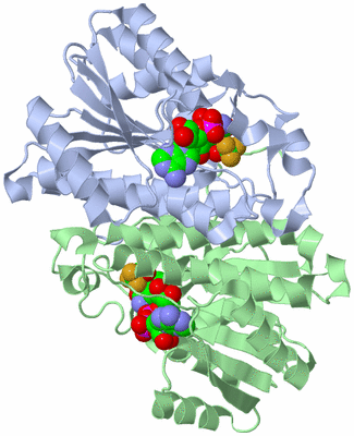 Image Asym./Biol. Unit