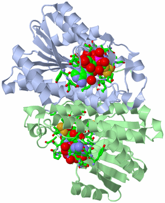 Image Asym./Biol. Unit - sites