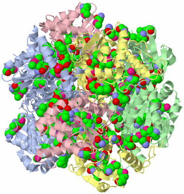 Image Biological Unit 1