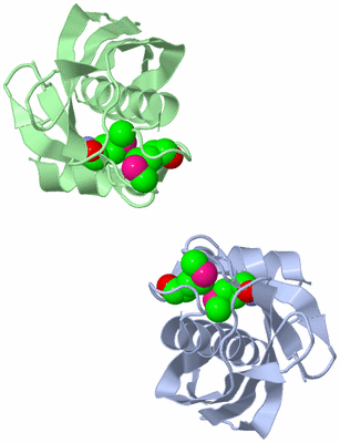 Image Asymmetric Unit
