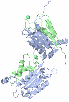 Image Biological Unit 1