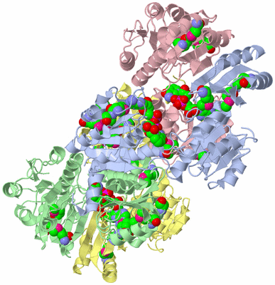 Image Asym./Biol. Unit