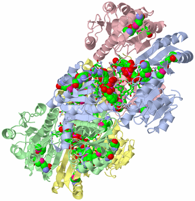 Image Asym./Biol. Unit - sites