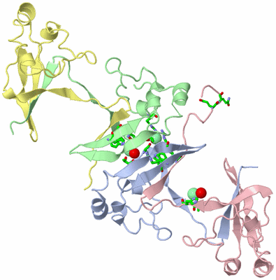 Image Biol. Unit 1 - sites