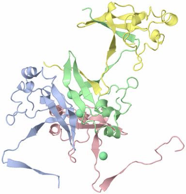 Image Biological Unit 2