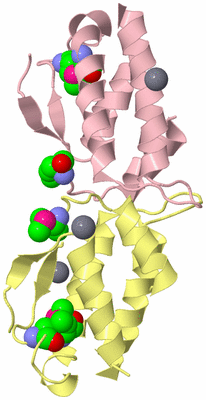 Image Biological Unit 2