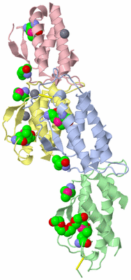 Image Biological Unit 3