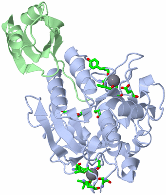 Image Asym./Biol. Unit - sites