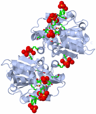 Image Biol. Unit 1 - sites