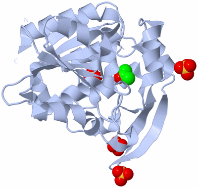 Image Biological Unit 2