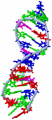 Image NMR Structure - model 1