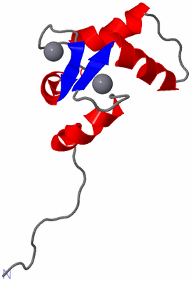 Image NMR Structure - model 1