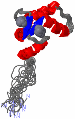 Image NMR Structure - all models