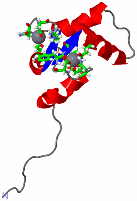 Image NMR Structure - model 1, sites