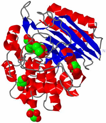 Image Asym./Biol. Unit