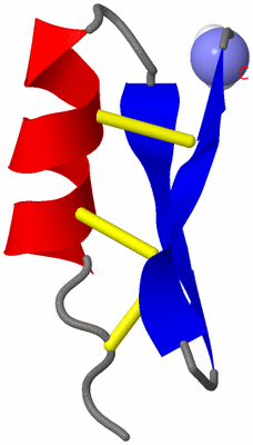 Image NMR Structure - model 1