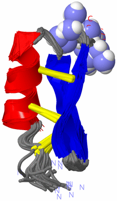 Image NMR Structure - all models