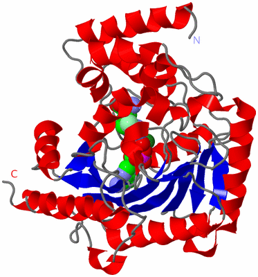 Image Asym./Biol. Unit