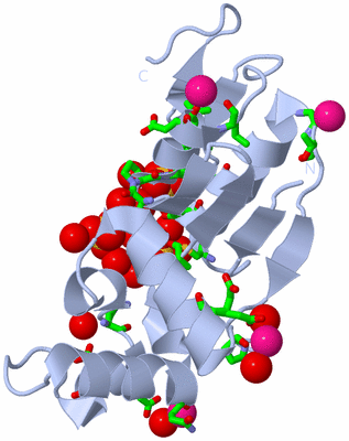 Image Biol. Unit 1 - sites