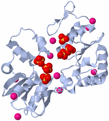 Image Biological Unit 3