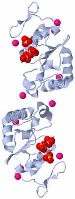 Image Biological Unit 4