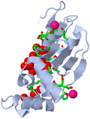 Image Biol. Unit 1 - sites